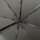 Guarda Chuva Umbrella Stussy Big Logo - Pronta Entrega