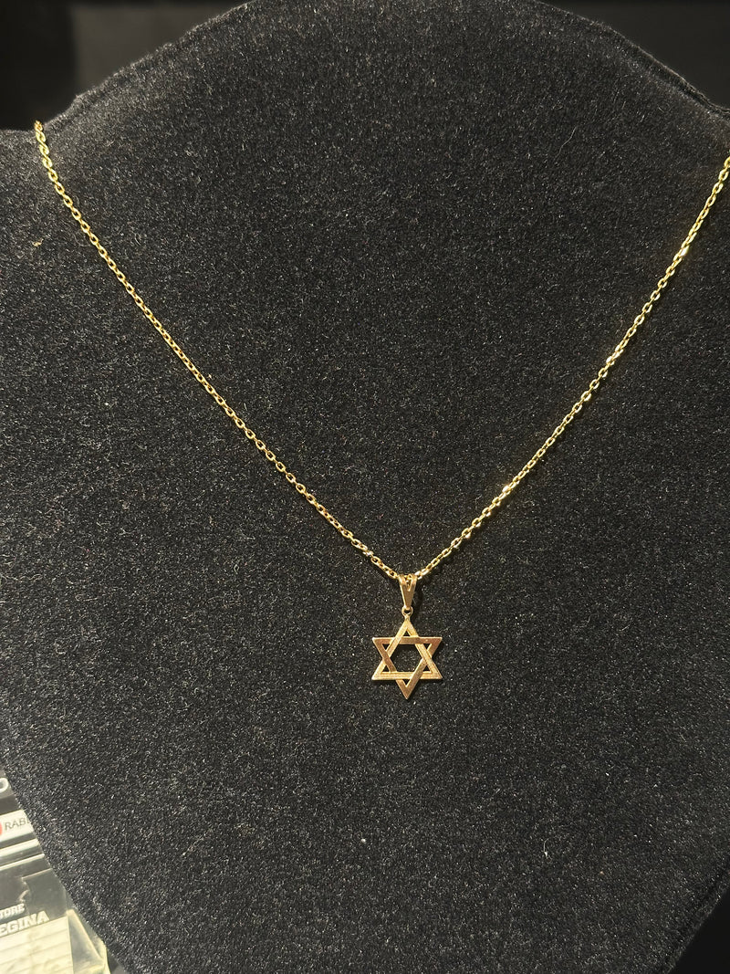 Corrente Cartier Banhada Pingente Estrela de Davi 70 CM - Pronta Entrega