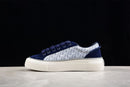 Dior B33 White Sliver Blue