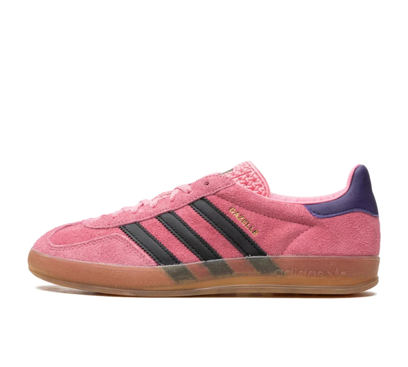 Gazelle Indoor 'Bliss Pink Purple' Rosa - Encomenda