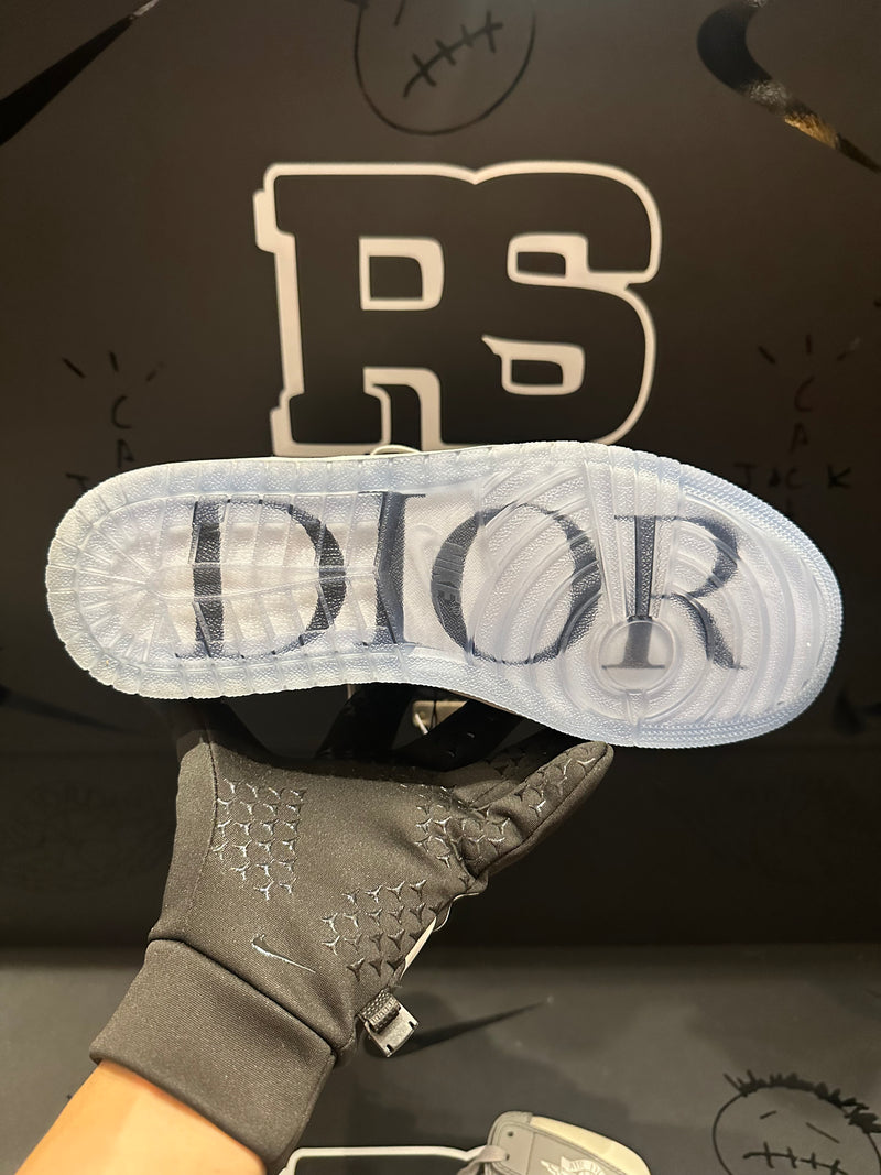 Tênis Nike Air Jordan 1 High X Dior Wolf Grey - Pronta Entrega