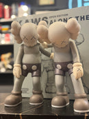 Boneco KAWS Along The Way Brown 25 CM - Pronta Entrega