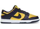 Nike Dunk Low Michigan - Encomenda