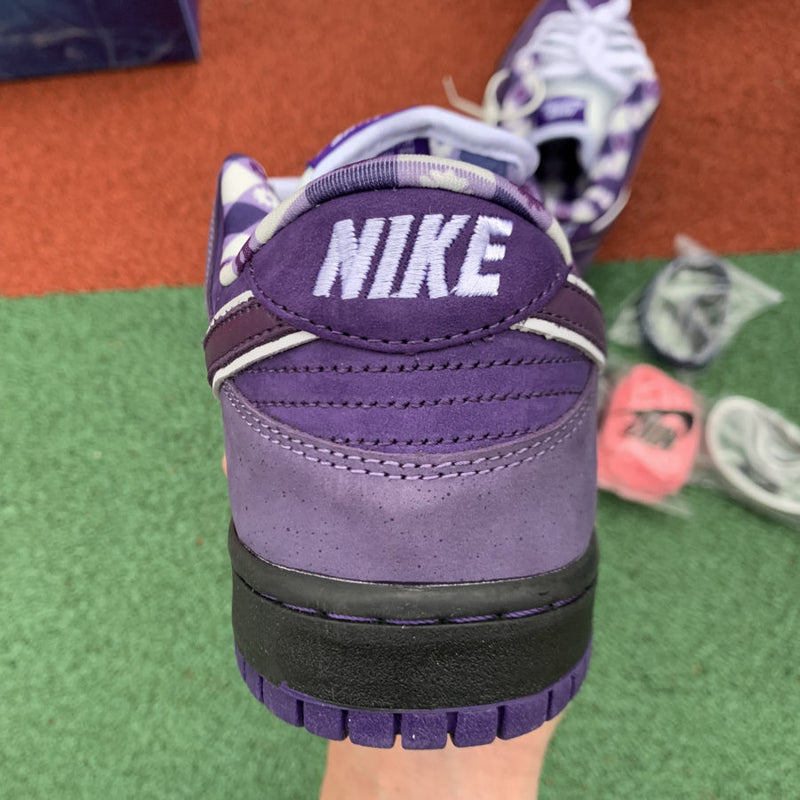 Nike SB Dunk Low Concepts Purple Lobster - Encomenda
