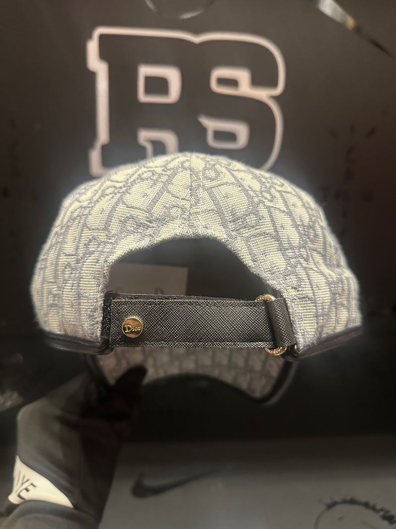 Boné Aba Curva Dior Silver Logo Frontal - Pronta Entrega