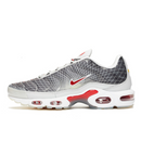 Nike Air Max plus TN - Encomenda