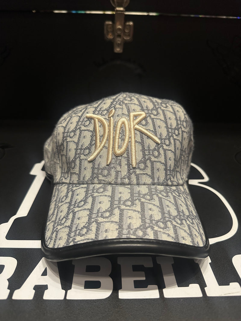 Boné Aba Curva Dior Silver Logo Frontal - Pronta Entrega