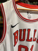 Jersey Nike NBA Chicago Bulls Associate Edition Dennis Rodman
