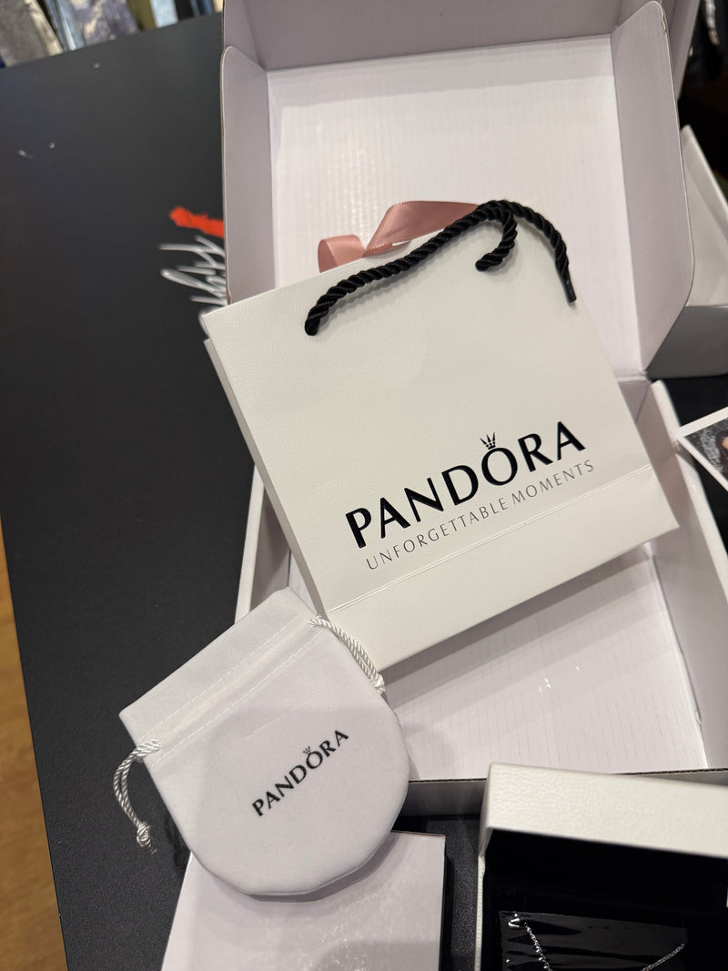 Colar Pandora Floco de Neve Prata 925 Tamanho 45 CM - Pronta Entrega