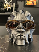 Óculos Oakley PLANTARIS Brown Lente Marrom - Pronta Entrega