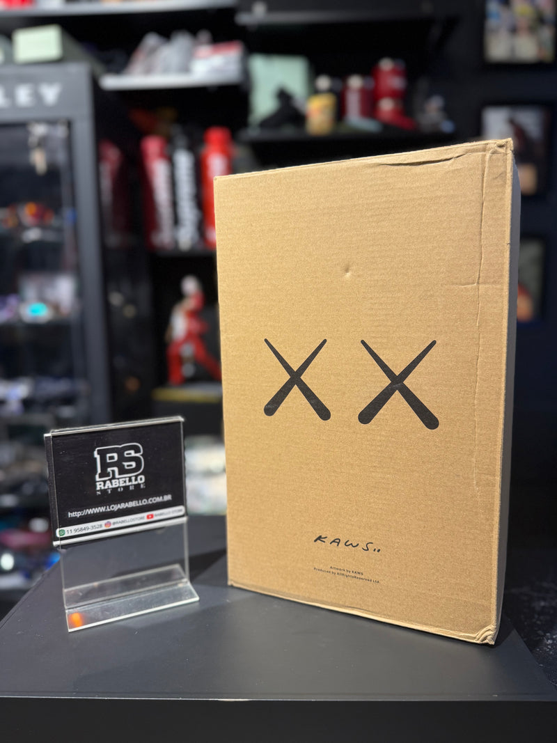 Boneco Colecionável KAWS Astroboy - Pronta Entrega
