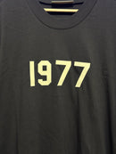 Camiseta Essentials 1977 Marrom - Pronta Entrega