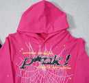 Moletom Sp5der P*NK - Encomenda