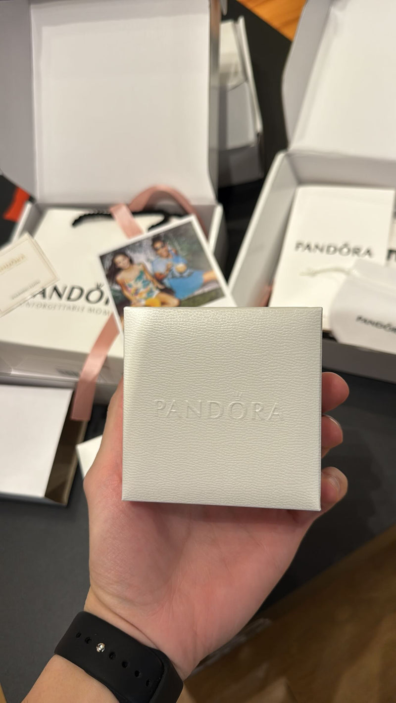 Colar Pandora Floco de Neve Prata 925 Tamanho 45 CM - Pronta Entrega