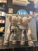 Boneco KAWS Along The Way Brown 25 CM - Pronta Entrega