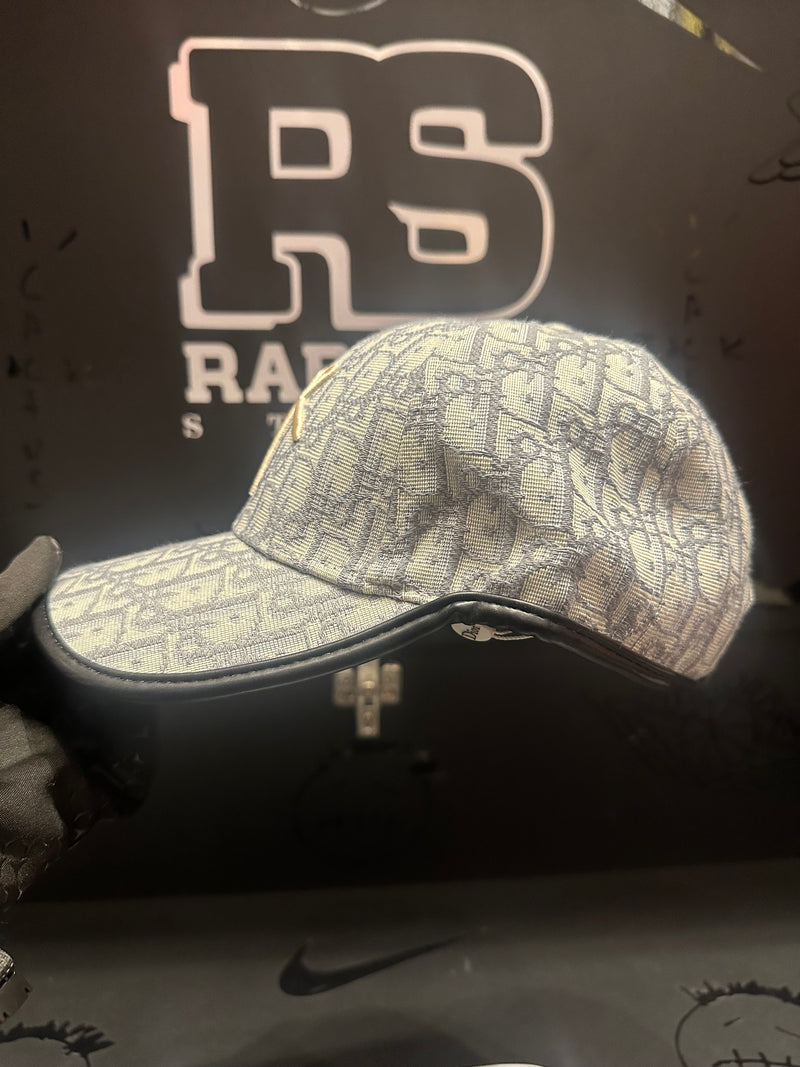 Boné Aba Curva Dior Silver Logo Frontal - Pronta Entrega
