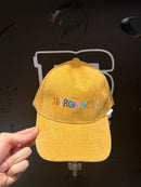 Boné Travis Scott AstroWorld suede Bege - Pronta Entrega