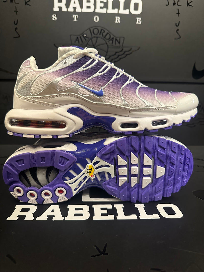 Tênis Nike Air Max TN Plus Purple Dragon - Pronta Entrega