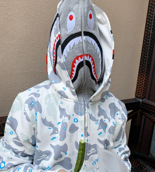 Moletom BAPE Shark Tiger Duplo Full Zip Preto Cinza - Encomenda