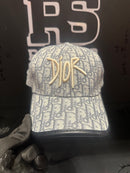 Boné Aba Curva Dior Silver Logo Frontal - Pronta Entrega