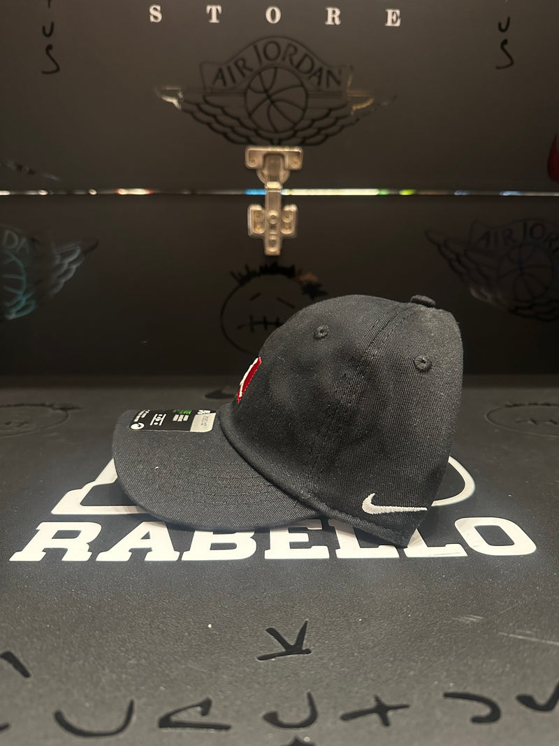 Boné Aba Curva Nike Preto Air Jordan NBA - Pronta Entrega