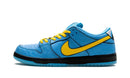 Nike Dunk Low SB Powerpuff Girls 'Lindinha' - Encomenda