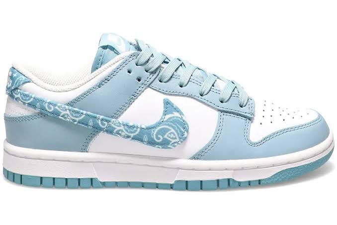 Nike Dunk Low Essential Paisley Pack Worn - Encomenda
