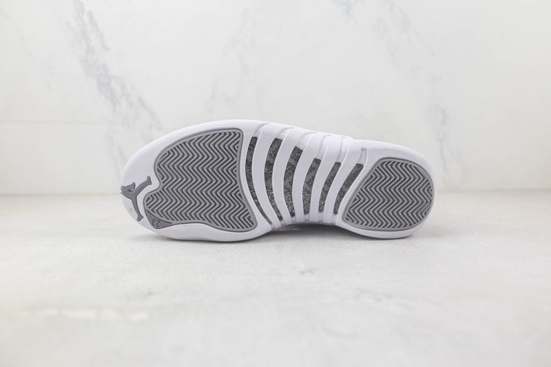Jordan 12 Stealth - Encomenda