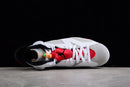 Air Jordan 6 Retro Hare - Encomenda