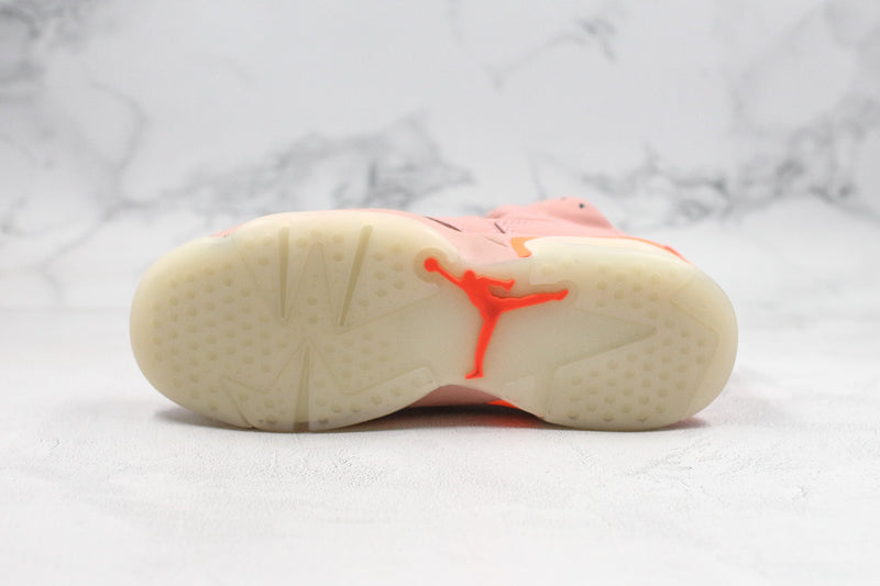 Jordan 6 Retro Aleali May - Encomenda