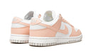 Tênis Nike Dunk Low Feminino "Move To Zero Pink" Rosa - Encomenda